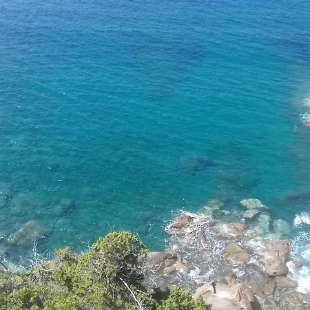 Raffinata Livourne